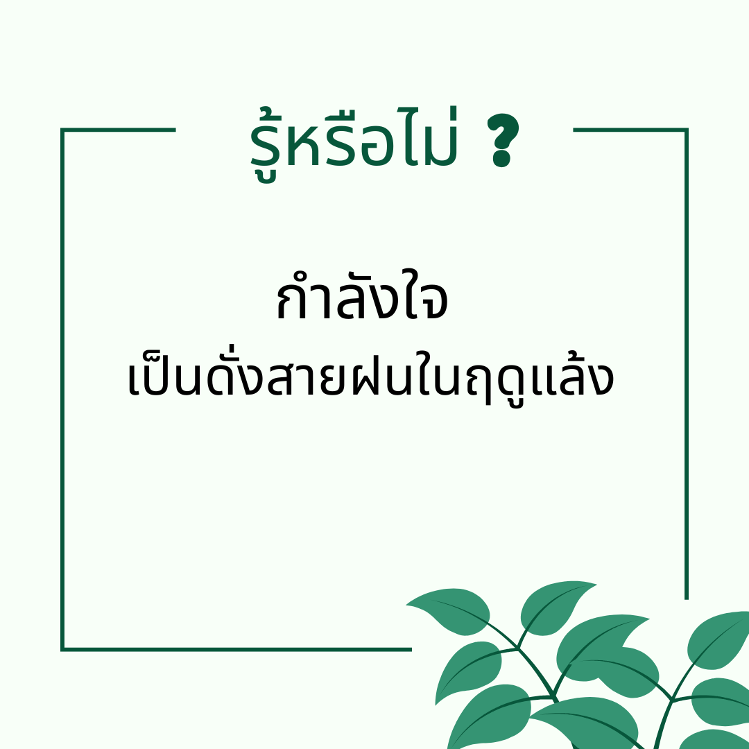 กำลังใจ เป็นดั่งสายฝนในฤดูแล้ง